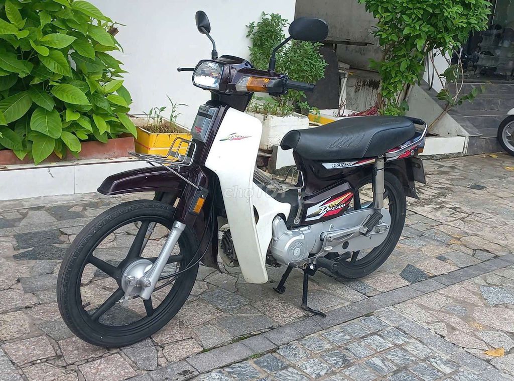 Citi 19 Head Full Super Dream Коричневый бензин