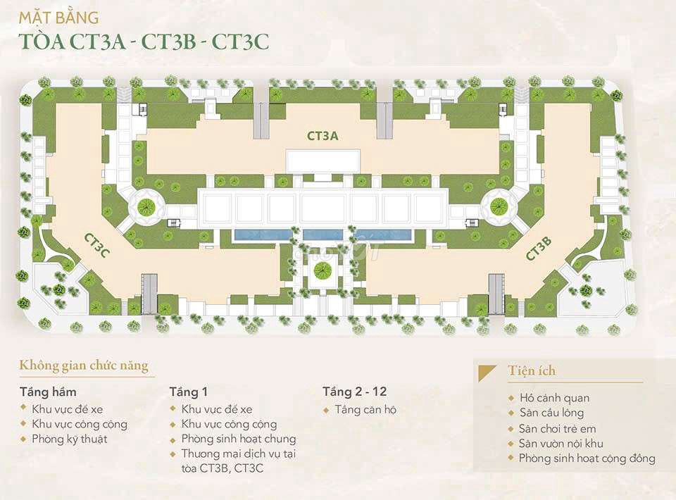 Ảnh 3