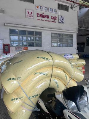 Nệm csn Thắng Lợi giá tốt. Mua bán Giường, chăn ga gối nệm tại Thành phố Thủ Đức Tp Hồ Chí Minh được đăng bởi Cường