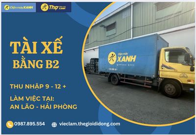 Cổ phần Thế Giới Di Động