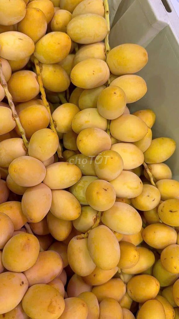 Chà là tươi Vàng 1 kg Tươi ngon. Mua bán Đồ ăn, thực phẩm và các loại khác tại Quận Bình Thuỷ Cần Thơ được đăng bởi Trần Vân Anh hình 1