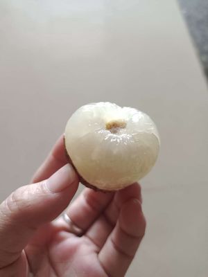 Vải cuối mùa, Combo 5kg 200k. Mua bán Đồ ăn, thực phẩm và các loại khác tại Quận Gò Vấp Tp Hồ Chí Minh được đăng bởi Trái cây sạch Đăk Lăk