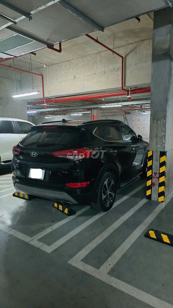 Ảnh số 8