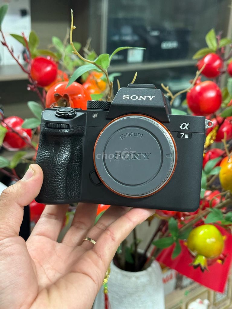 Sony A73   Ngoại hình keng - senso sạch