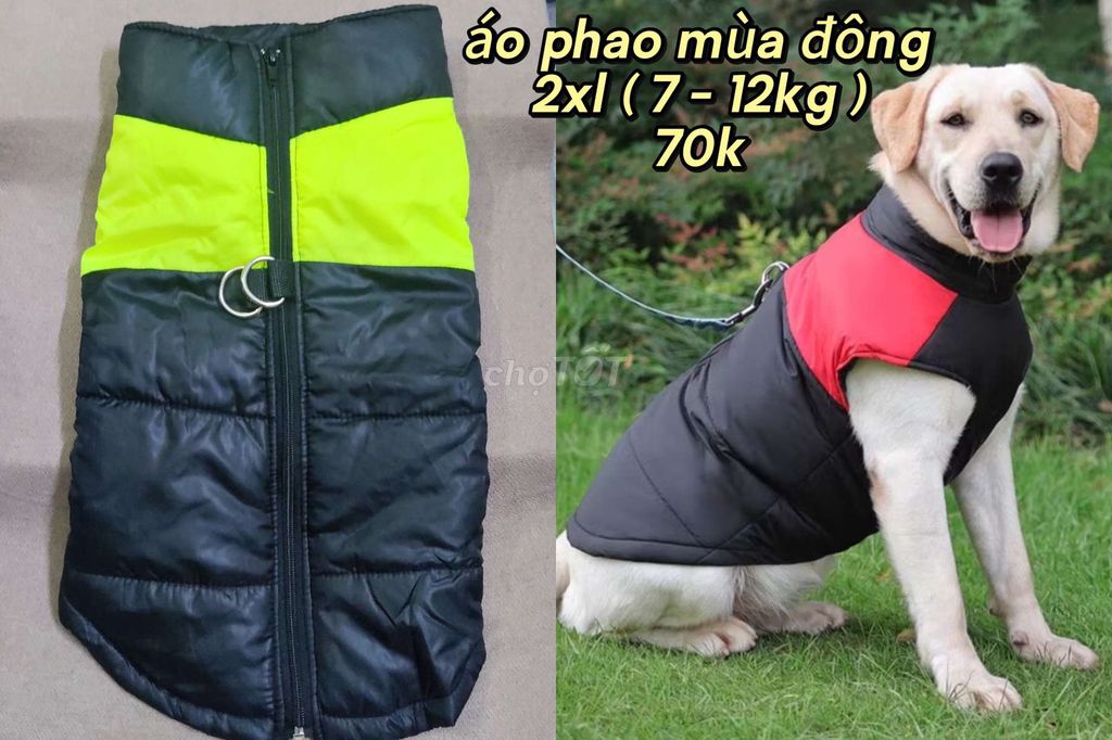 xả kho áo phao thú cưng size lớn