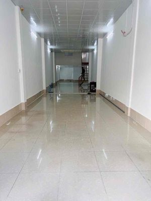cho thuê nhà nguyên căn, mặt bằng kinh doanh
