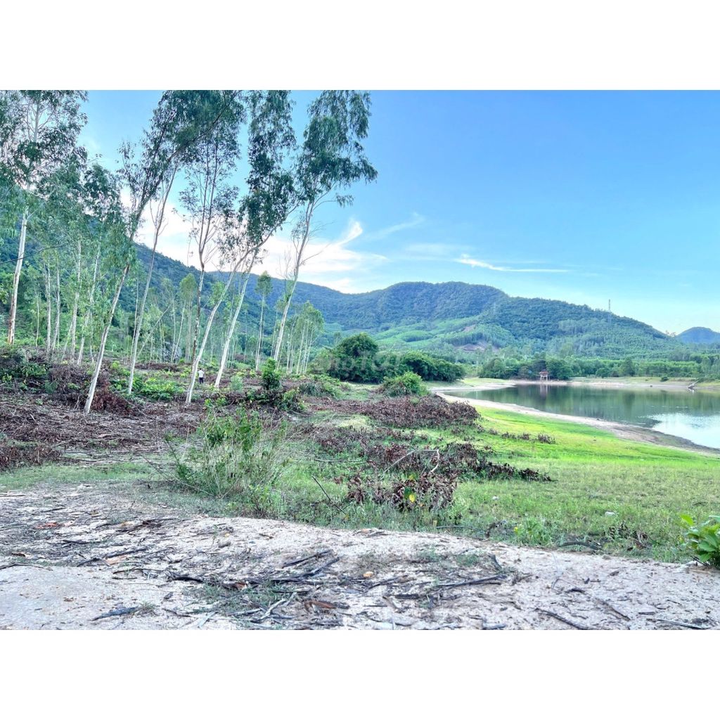 Cần bán gấp 2ha đất ven hồ - phù hợp nông nghiệp & du lịch sinh thái Cần bán gấp 2ha đất ven hồ - phù hợp nông nghiệp & du lịch sinh thái