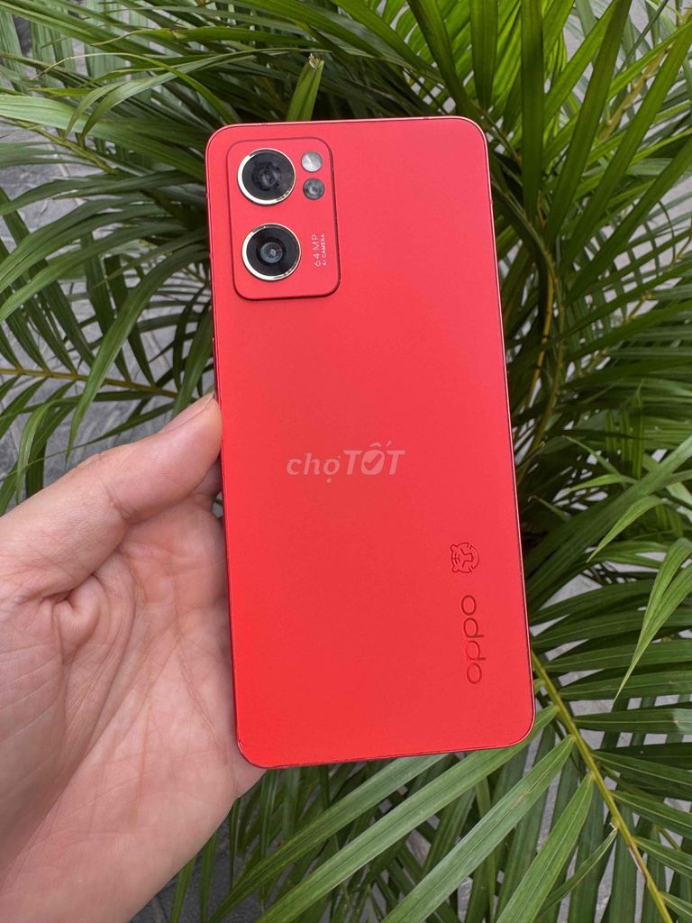 Oppo Reno7 12/256GB Đỏ QUỐC TẾ có cod. Mua bán Điện thoại tại Quận Hoàng Mai Hà Nội được đăng bởi Gia Vinh hình 1