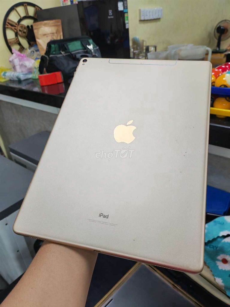 iPad Pro 12.9 gen 2 512GB gold 5G & wifi. Mua bán Máy tính bảng tại Huyện Hóc Môn Tp Hồ Chí Minh được đăng bởi văn bình hình 1