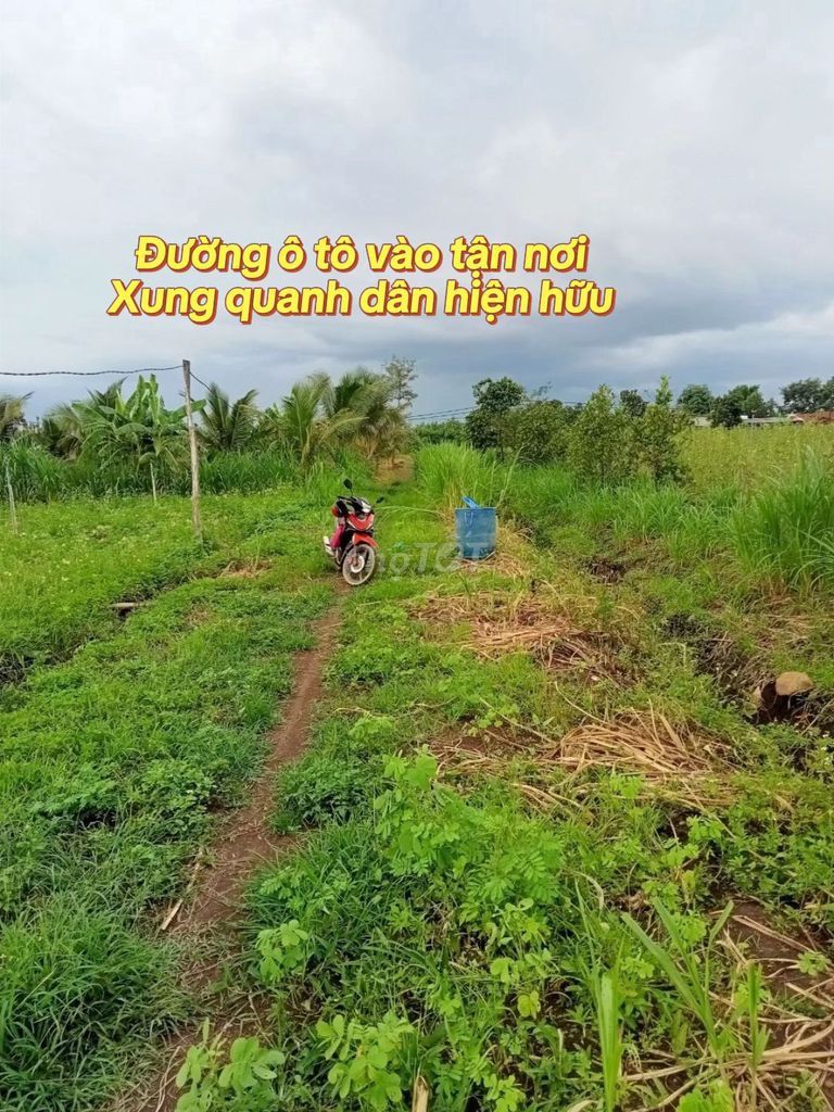 Cần bán lô đất vườn khu dân cư hiện hữu , đất thành phố , gần chợ. Mua bán Đất tại Thành phố Buôn Ma Thuột Đắk Lắk được đăng bởi Lê văn Chiến hình 3