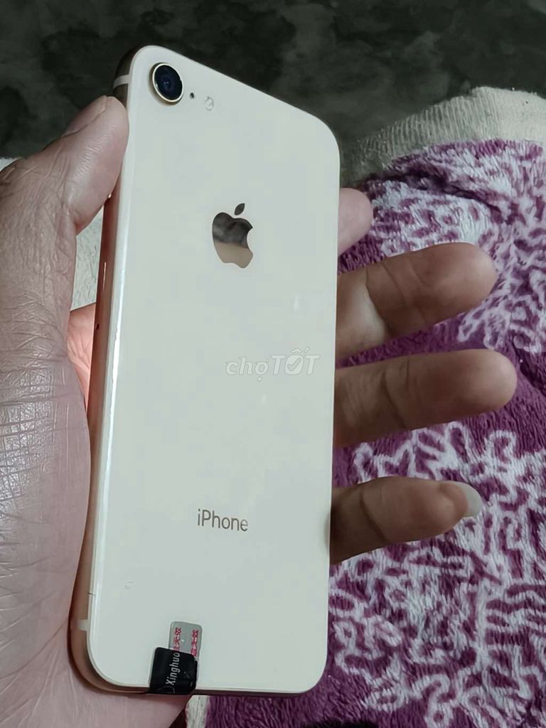 iPhone 8 Vàng. Mua bán Điện thoại tại Thị xã Tân Uyên Bình Dương được đăng bởi hạnh huy hình 1