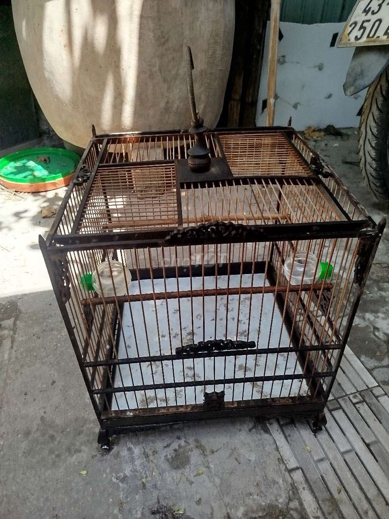 Lồng chim gỗ màu nâu. Mua bán Phụ kiện, Thức ăn, Dịch vụ tại Quận Thanh Khê Đà Nẵng được đăng bởi tan hình 1