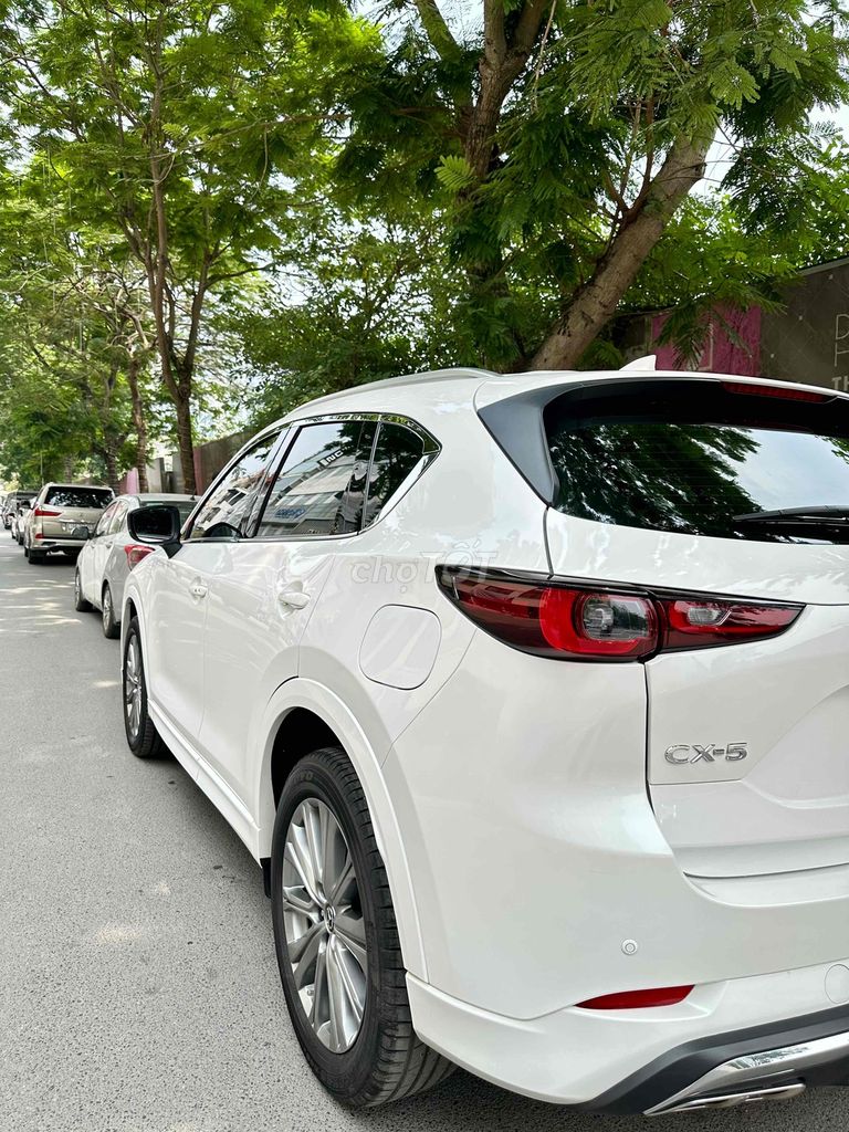 Ảnh số 4