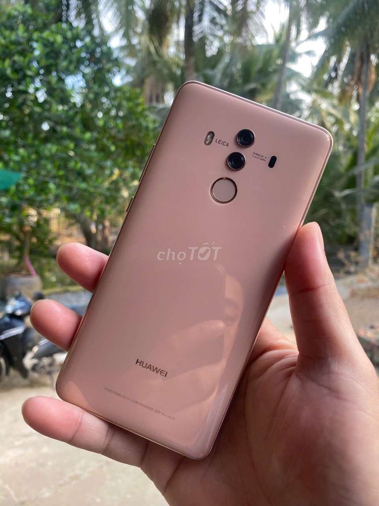 Huawei Mate 10 Lengkeng Zin gl