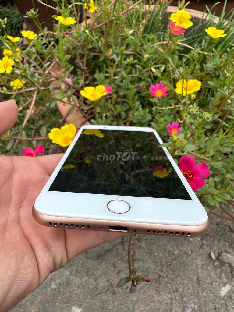 Apple iPhone 8 Plus 64GB Vàng hồng. Mua bán Điện thoại tại Thành phố Thủ Dầu Một Bình Dương được đăng bởi Phan thanh Bảo hình 1