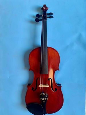 Đàn Violin Pháp - Size 4/4 - Mặt sau gỗ một mãnh