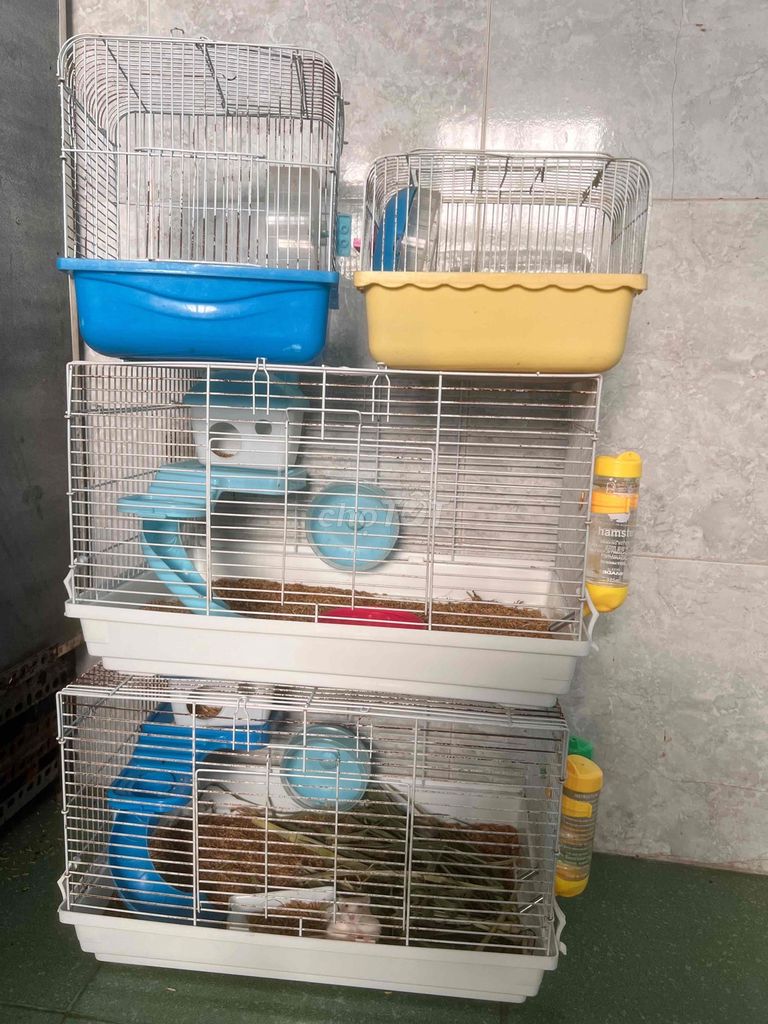 Lồng Hamster màu Trắng 47cm. Mua bán Phụ kiện, Thức ăn, Dịch vụ tại Thành phố Châu Đốc An Giang được đăng bởi Lê Bình Cầm Đồ 2 hình 1