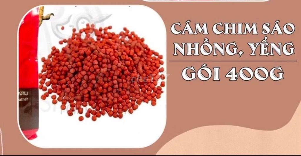 5 túi thức ăn cho chim cảnh-free ship-SG-long an