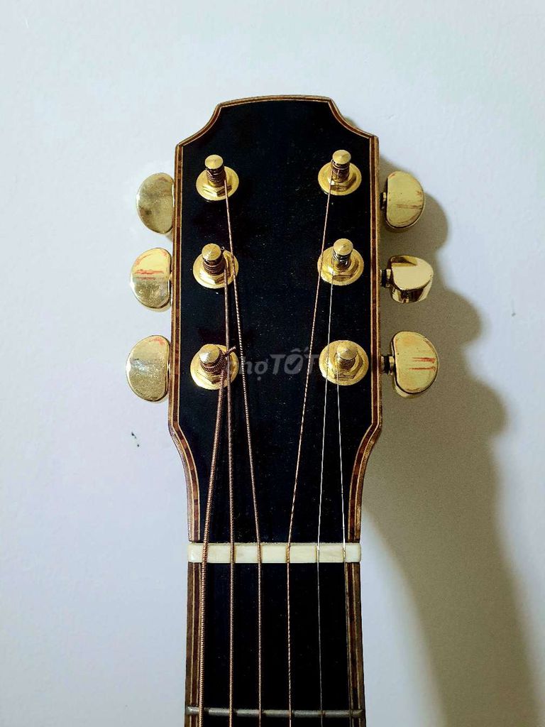 Cần bán đàn guitar...và đàn oran..