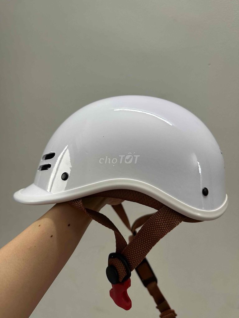 Nón báo hiểm cá heo