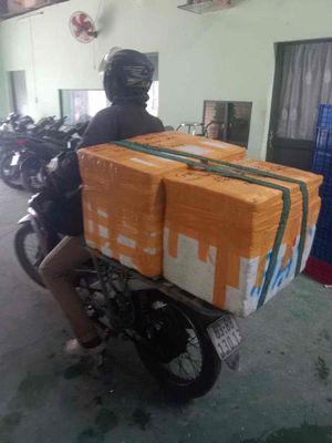 TUYỂN 2 GIAO HÀNG ĐÓNG HÀNG BÌNH TÂN LƯƠNG CAO