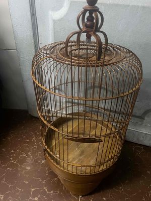 cần để lại lòng chèo đất cứng cáp.. Mua bán Chim tại Quận 10 Tp Hồ Chí Minh được đăng bởi Huy 