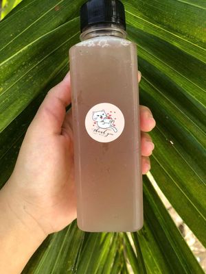 Nước giải khát Thốt nốt Chai nhựa. Mua bán Đồ ăn, thực phẩm và các loại khác tại Thành phố Sóc Trăng Sóc Trăng được đăng bởi Kozi Shop