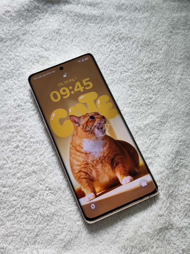 B or G OppO Find X6 -5g trắng camel zin all