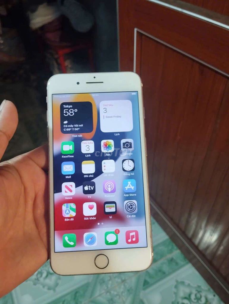 Apple iPhone 7 Plus 32GB Vàng hồng. Mua bán Điện thoại tại Huyện Vụ Bản Nam Định được đăng bởi việc làm phổ thông việc làm không bằng cấp hình 1