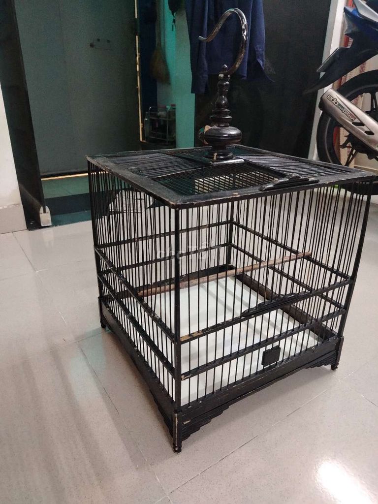 Lồng chim Gỗ Đen Đã qua sử dụng. Mua bán Phụ kiện, Thức ăn, Dịch vụ tại Quận 5 Tp Hồ Chí Minh được đăng bởi Nam Hoàng hình 1