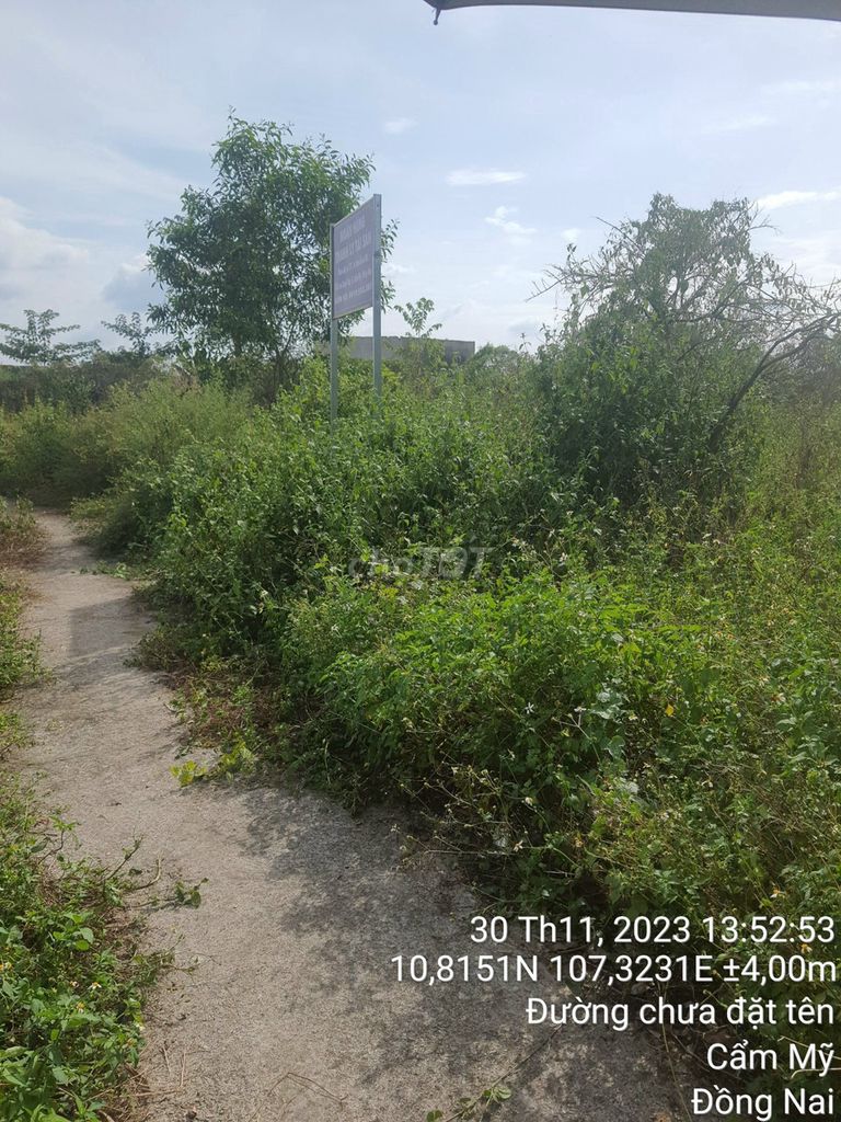 (GH) Phát mãi lô đất 3264m2 tại Huyện Cẩm Mỹ, Đồng Nai