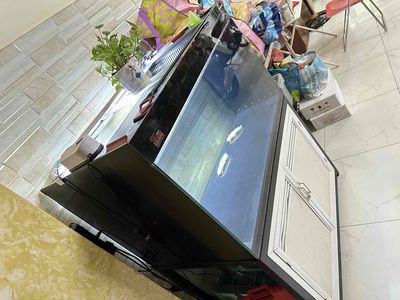 Hồ cá kính cường lực 8ly full như ảnh. Mua bán Phụ kiện, Thức ăn, Dịch vụ tại Quận 6 Tp Hồ Chí Minh được đăng bởi Thái