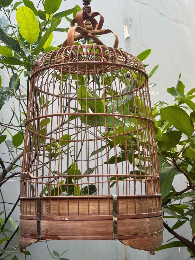 Lồng Sơn Ca. Mua bán Phụ kiện, Thức ăn, Dịch vụ tại Quận Gò Vấp Tp Hồ Chí Minh được đăng bởi Khoa Trần hình 1