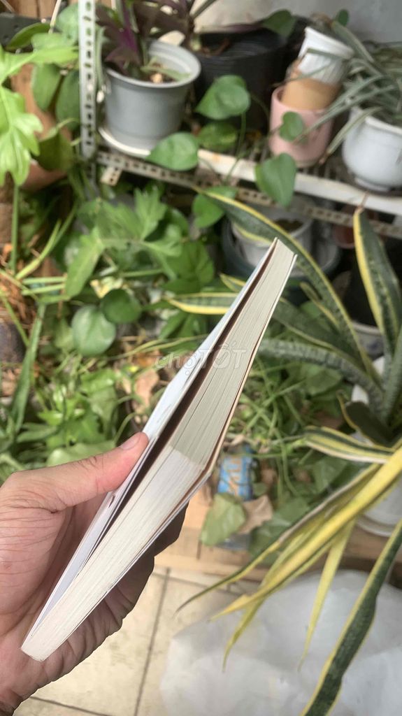 pass cuốn Chúng ta rồi sẽ hạnh phúc theo …