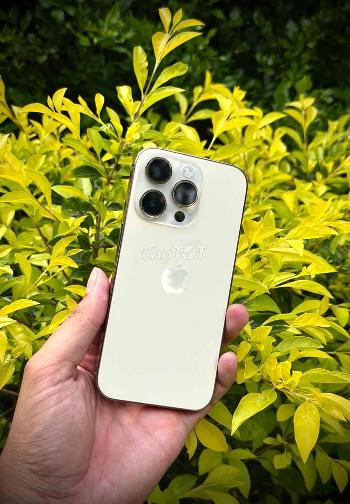 🍎 IPHONE 14 PRO 256GB ĐẸP 99 VÀNG GOlD PIN ZIN 88%. Mua bán Điện thoại tại Quận Ninh Kiều Cần Thơ được đăng bởi  HVM APPLE hình 1