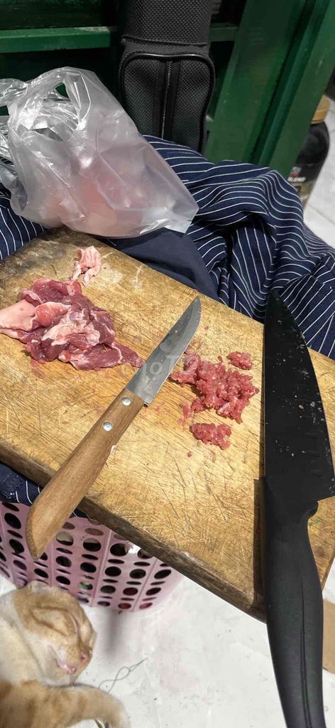 lia thia đồng thiên nhiên