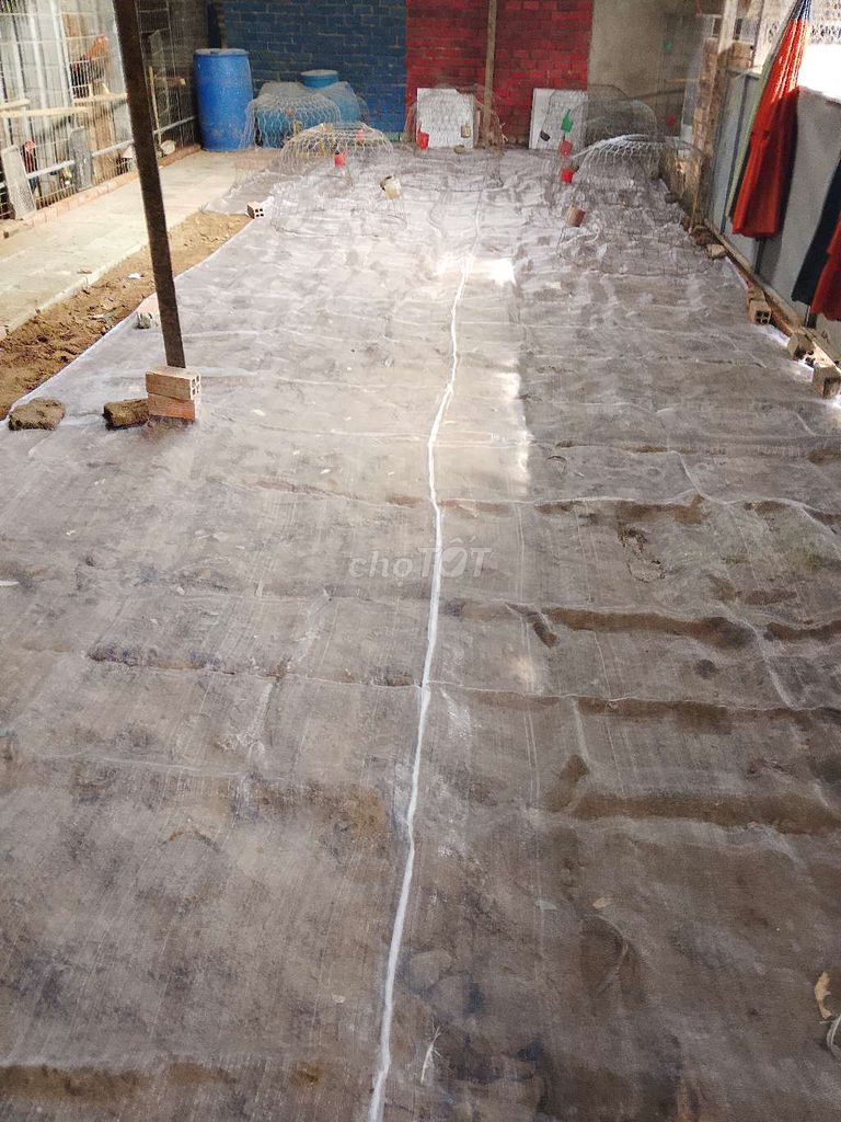 Gà nòi số lượng. Mua bán Gà tại Huyện Thạnh Phú Bến Tre được đăng bởi Công Duy hình 1