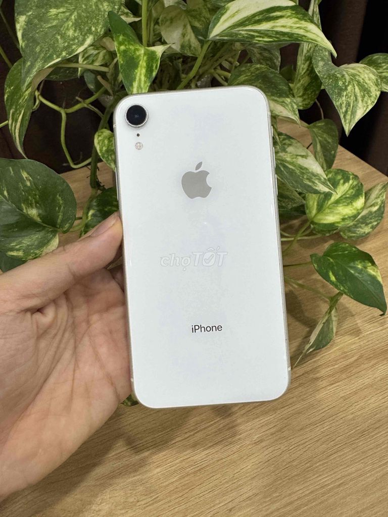 iPhone Xr 64Gb Trắng Đã qua sử dụng CÓ COD. Mua bán Điện thoại tại Quận Hoàng Mai Hà Nội được đăng bởi Gia Vinh hình 1
