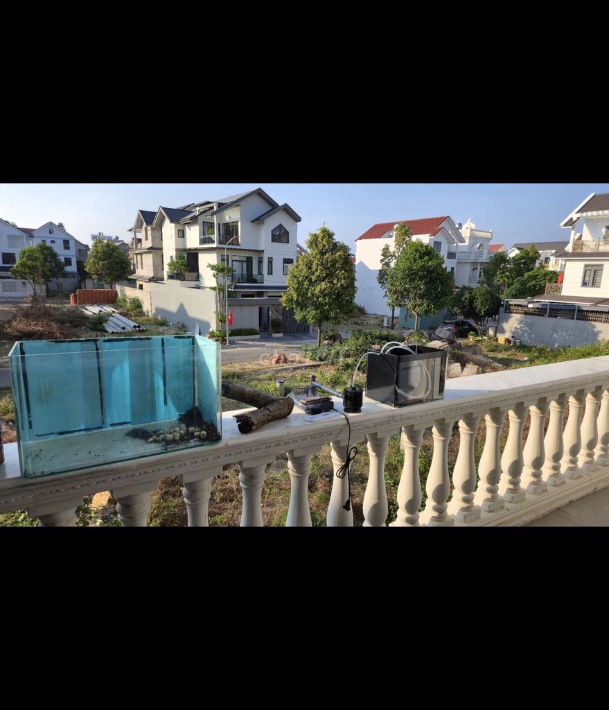 Bể cá kính trong suốt. Mua bán Phụ kiện, Thức ăn, Dịch vụ tại Thành phố Vũng Tàu Bà Rịa - Vũng Tàu được đăng bởi Minh Hoàng hình 1