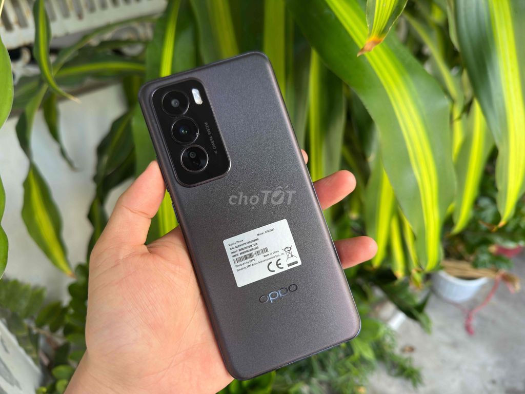 Oppo Reno12 5G 12GB/256GB. Mua bán Điện thoại tại Quận Ninh Kiều Cần Thơ được đăng bởi ĐIỆN THOẠI GIÁ TỐT UY TÍN  hình 1
