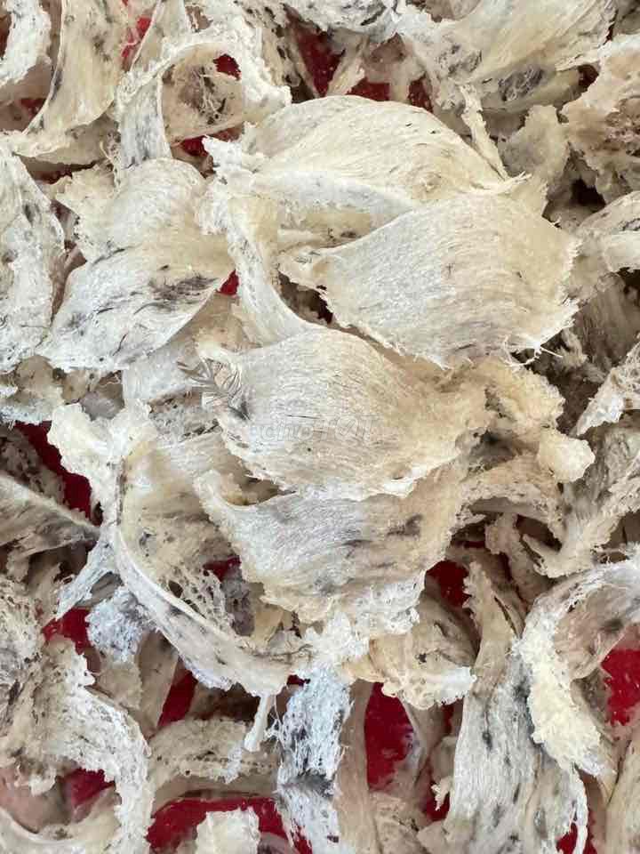 Tổ yến thô Tây Ninh Mới. Mua bán Đồ ăn, thực phẩm và các loại khác tại Quận Tân Bình Tp Hồ Chí Minh được đăng bởi MyMy house hình 1