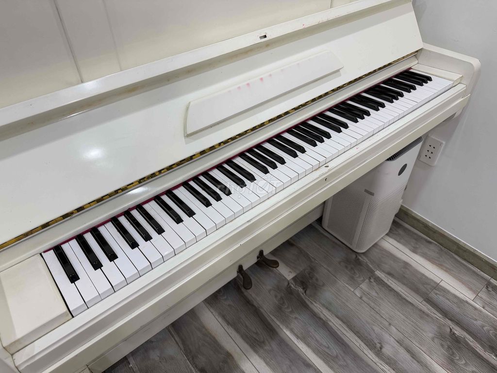 piano màu trắng nhập Nhật