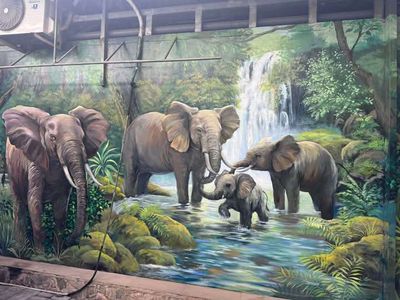 Vẽ tranh tường. Dịch vụ tại Quận Hải Châu Đà Nẵng được đăng bởi TRỊNH HẢI