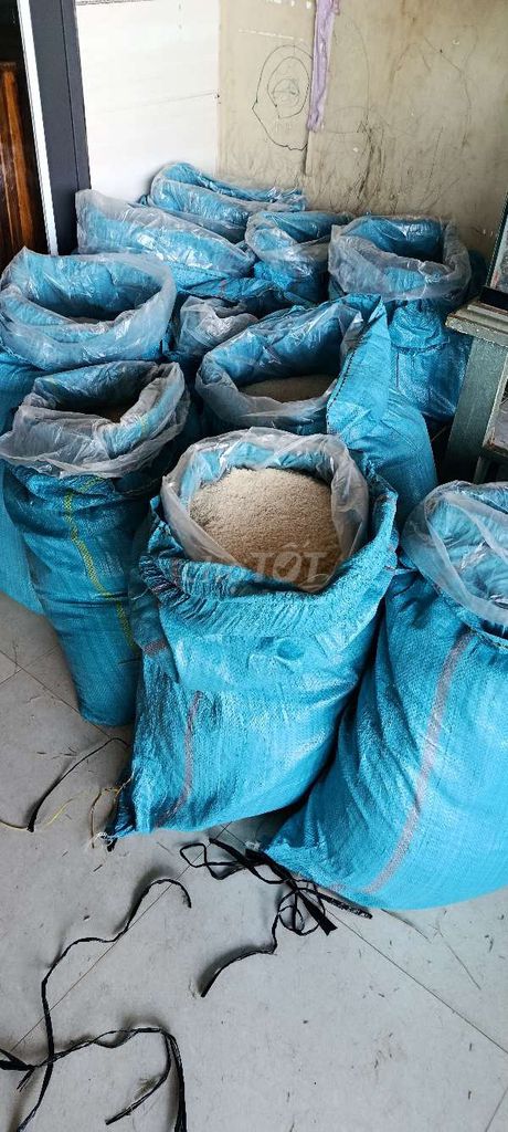 Gạo ST25 Trắng Dẻo thơm, ngọt tự nhiên. Mua bán Đồ ăn, thực phẩm và các loại khác tại Huyện Cư M'gar Đắk Lắk được đăng bởi  Trần lê HUY hình 1