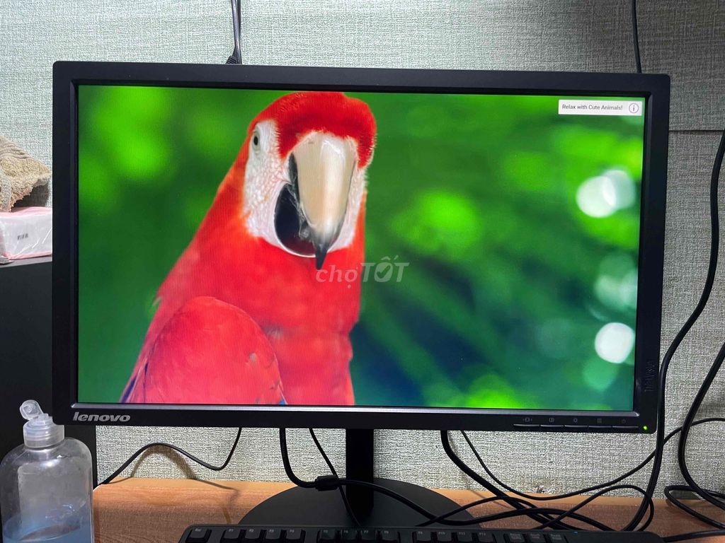 màn hình lenovo 22inch cực đẹp