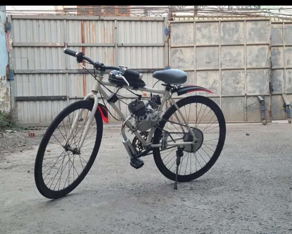 xe đạp gắn máy 80cc