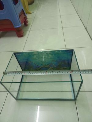 Bán nguyên bộ hồ thủy tinh nuôi cá giá rẻ hàng mới. Mua bán Phụ kiện, Thức ăn, Dịch vụ tại Quận 6 Tp Hồ Chí Minh được đăng bởi Nguyễn Tuấn