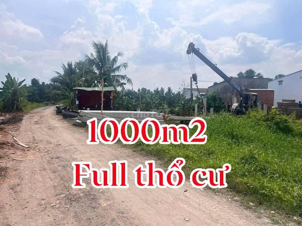 1000m2 thổ cư MT xã Bình Mỹ chỉ 8.5 tỷ Đường Bình Mỹ, Xã Bình Mỹ, Huyện Củ Chi, Tp Hồ Chí Minh Huyện Củ Chi Tp Hồ Chí Minh