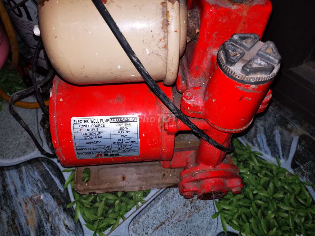 Máy bơm nước SHIMGE SJP-250AE Đỏ. Mua bán Nội thất, đồ gia dụng khác tại Quận Hà Đông Hà Nội được đăng bởi Tứ Ngọc hình 1