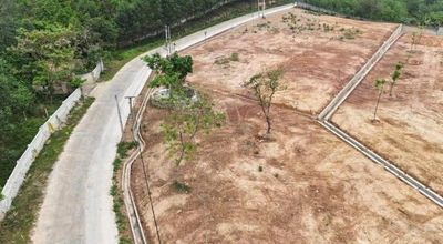 Bán đất 139-143m2 Tràng Bắn, Yên Thế, Bắc Giang